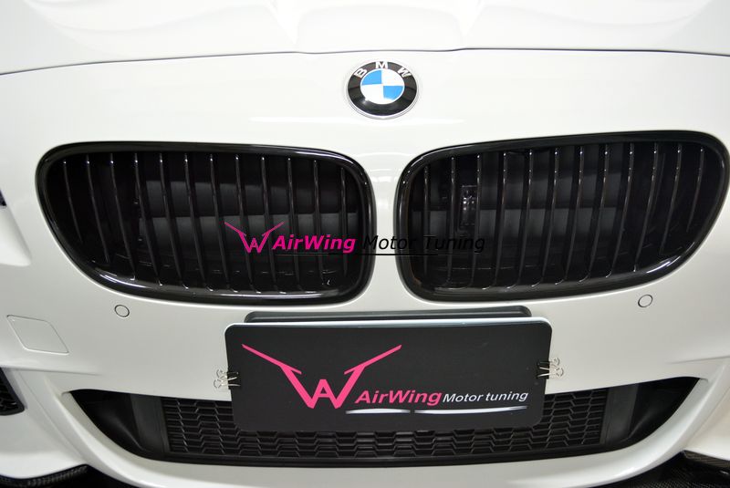 BMW F10 Performance grille